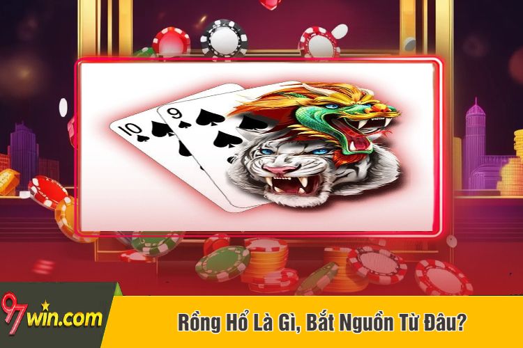 Rồng Hổ Là Gì, Bắt Nguồn Từ Đâu?